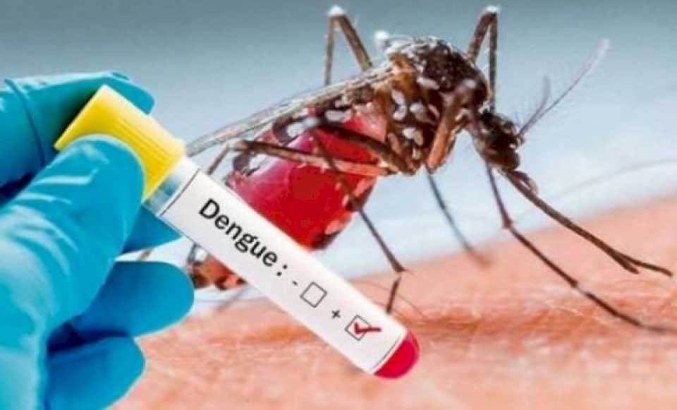 la-vacuna-contra-el-dengue-sera-de-dos-dosis,-con-intervalo-de-3-meses-entre-aplicaciones