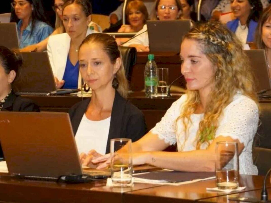 psicologa-represento-a-wanda-en-el-parlamento-de-la-mujer