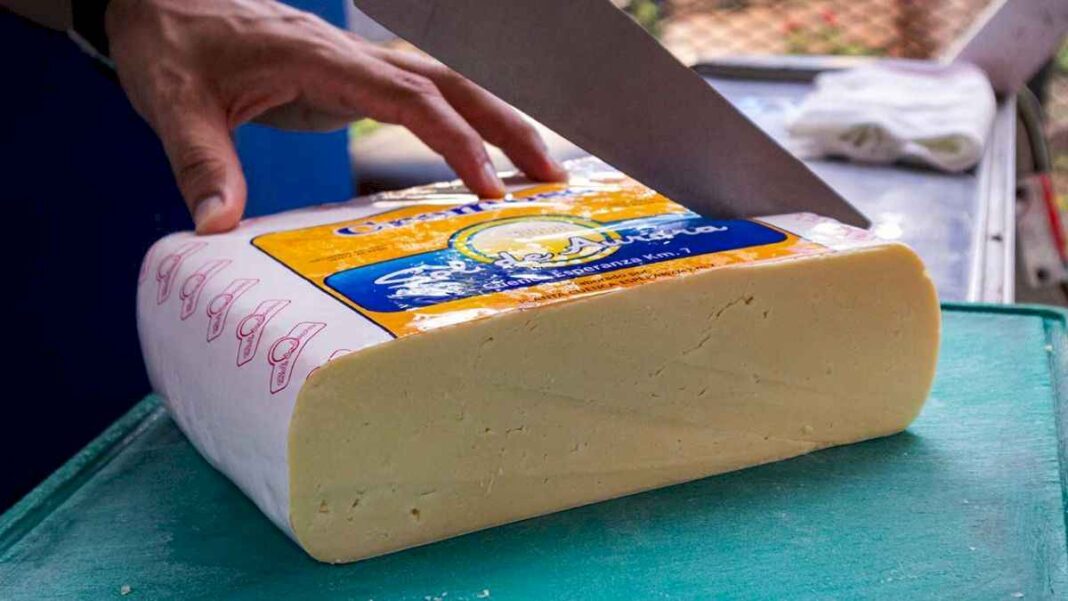 cooperativas-de-queso-vendieron-todo-y-van-por-mas-litros-de-leche