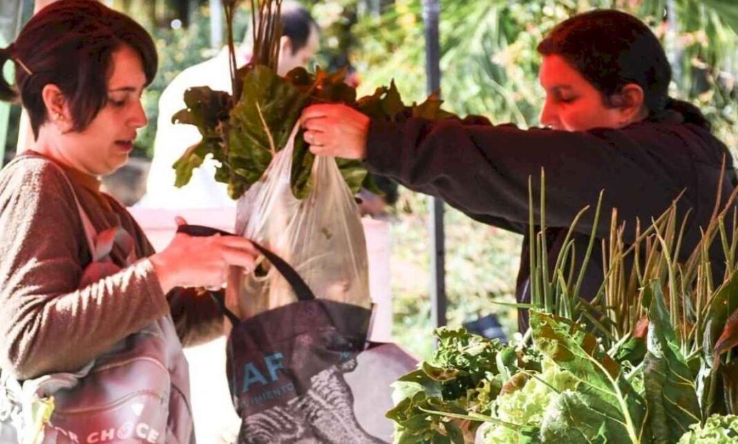 agricultura-familiar:-este-miercoles-vuelven-los-combos-universitarios-a-posadas-y-obera