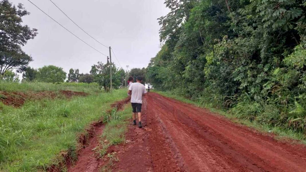 mejorar-caminos-rurales-para-sacar-la-produccion,-principal-prioridad-en-comunas