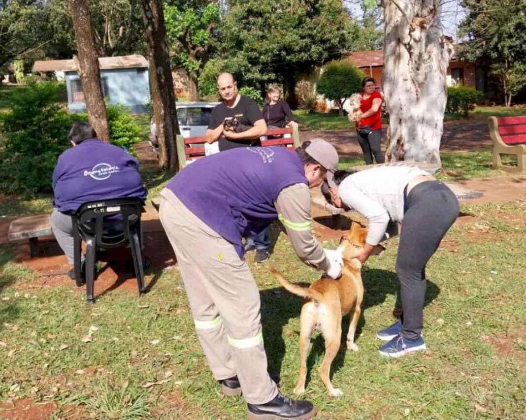 empezo-la-vacunacion-antirrabica-en-jardin-america-y-se-extendera-hasta-mayo