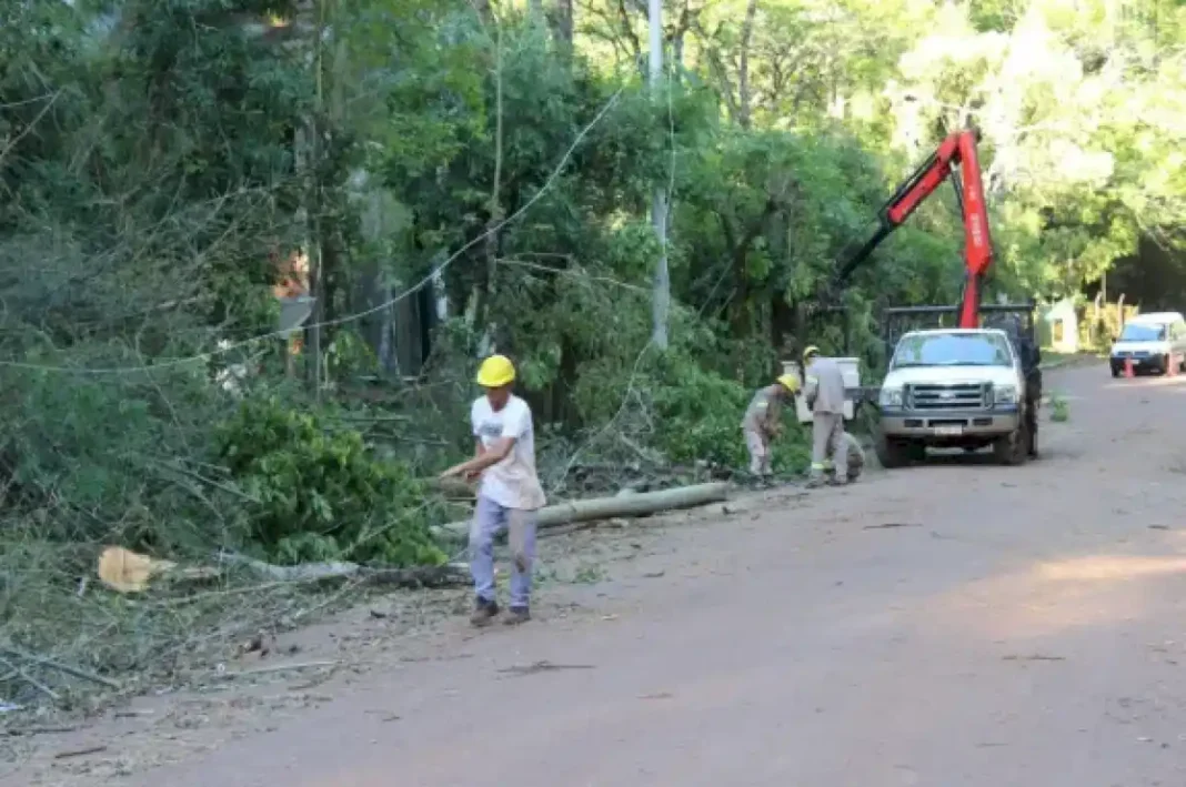 montecarlo:-la-cooperativa-de-electricidad-restablece-sus-servicios-tras-el-temporal-del-miercoles