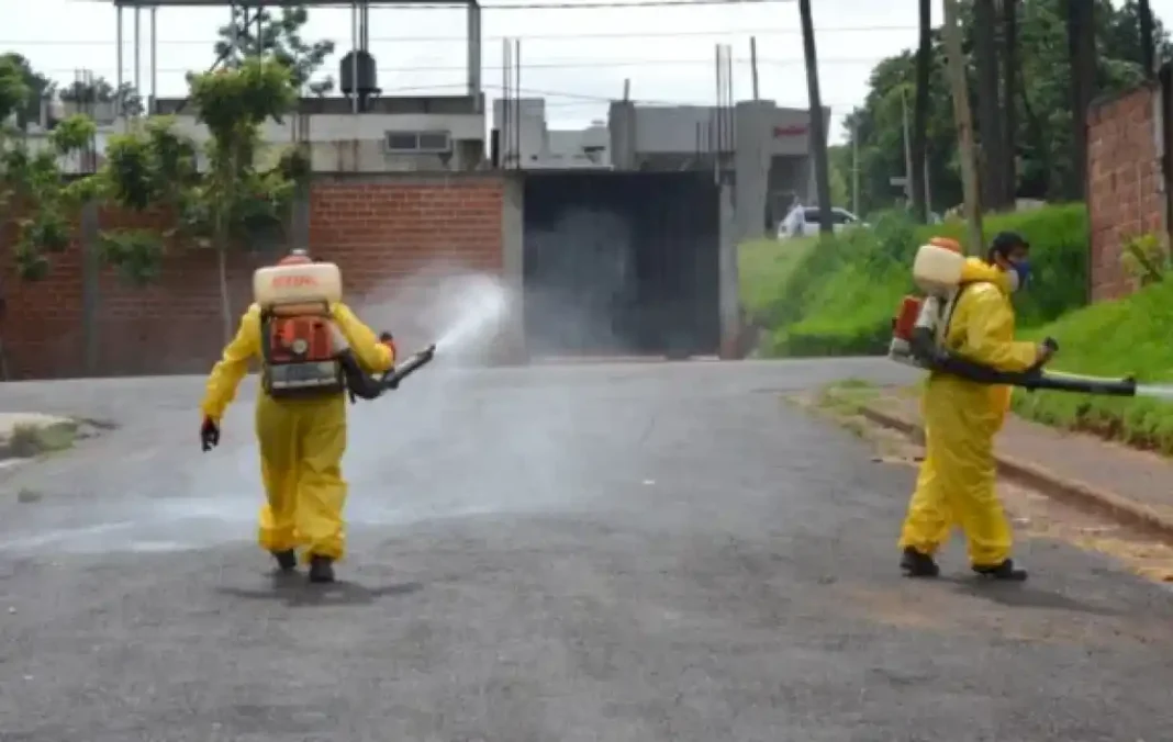 intensifican-la-lucha-contra-el-dengue-en-posadas