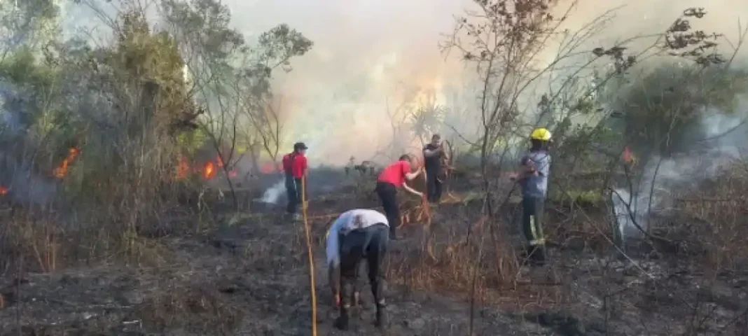 bomberos-intervinieron-en-dos-incendios-en-jardin-america