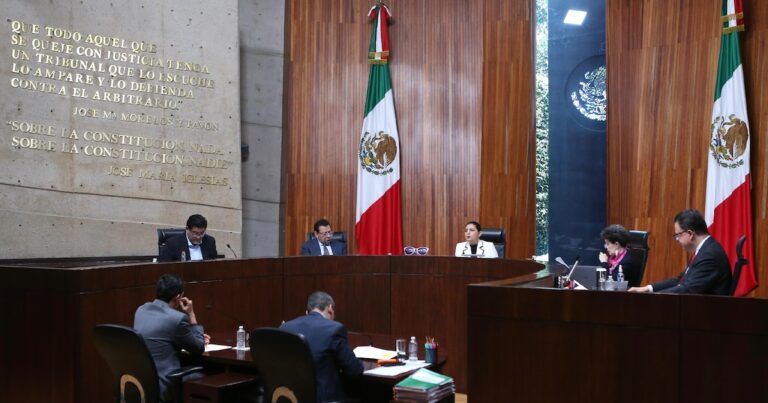 TEPJF ordena incluir a 18 aspirantes rechazados al proceso de elección judicial