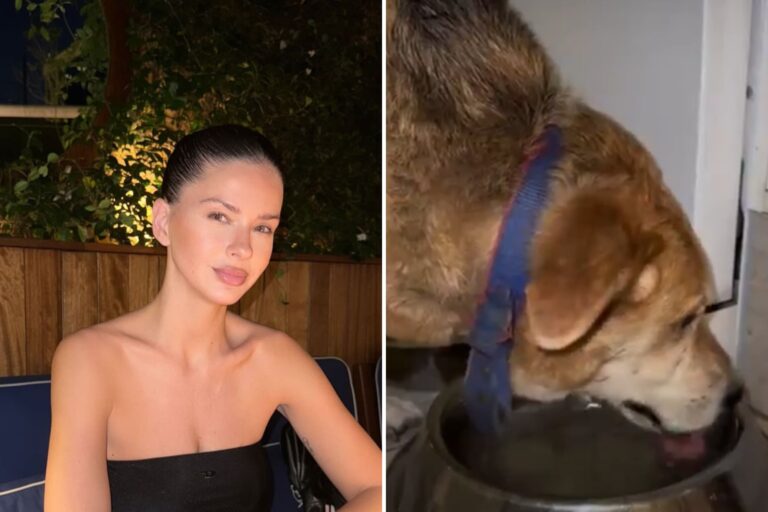 Qué pasó con el perro de la China Suárez y por qué generó polémica