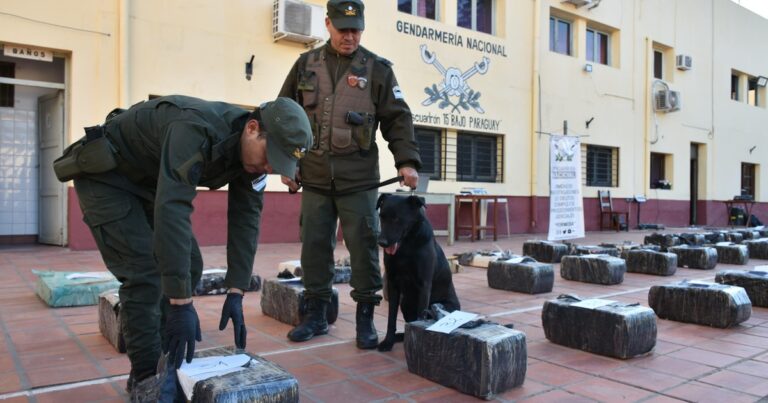 Un perro de Gendarmería detectó 1.400 kilos de marihuana en un camión que iba a Chile