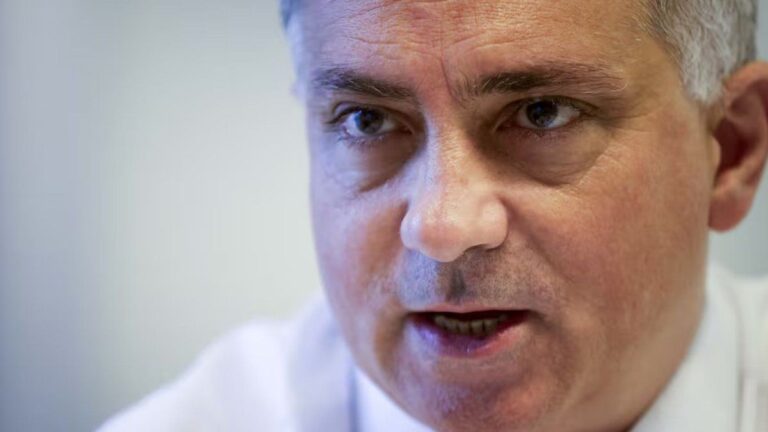 Filtraron audios de Sebastián Pareja acordando con el Frente Renovador: son de 2023