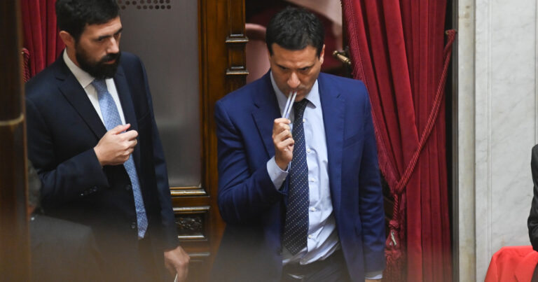 Un senador del radicalismo quiere sancionar a los candidatos testimoniales: pide inhabilitarlos por cuatro años