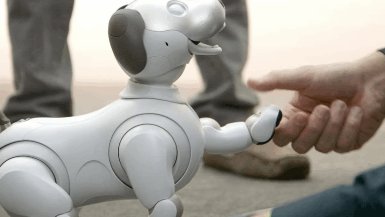 Del perro al androide: el futuro de las mascotas, según Inteligencia Artificial