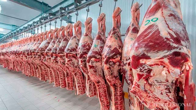 El Gobierno confirmó que las retenciones cero para la carne se mantendrán hasta el 31 de octubre