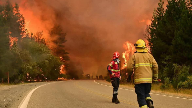Piden una ley de «Ecocidio» por los incendios en Chubut: de qué se trata