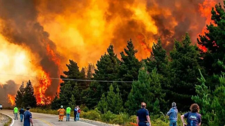 Declaran el estado de catástrofe en Puyén por el avance de los incendios en Chubut