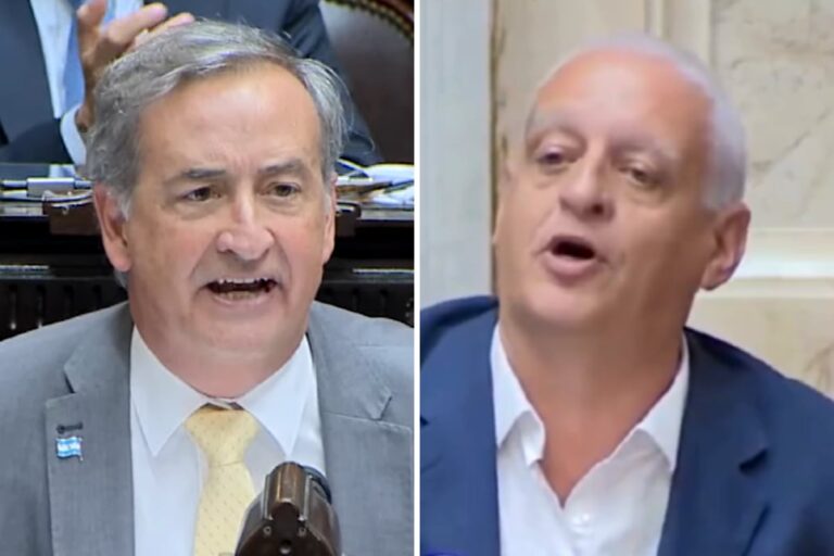 El cruce a los gritos entre Horacio Pietragalla y Nicolás Mayoraz por la reforma penal juvenil en Diputados