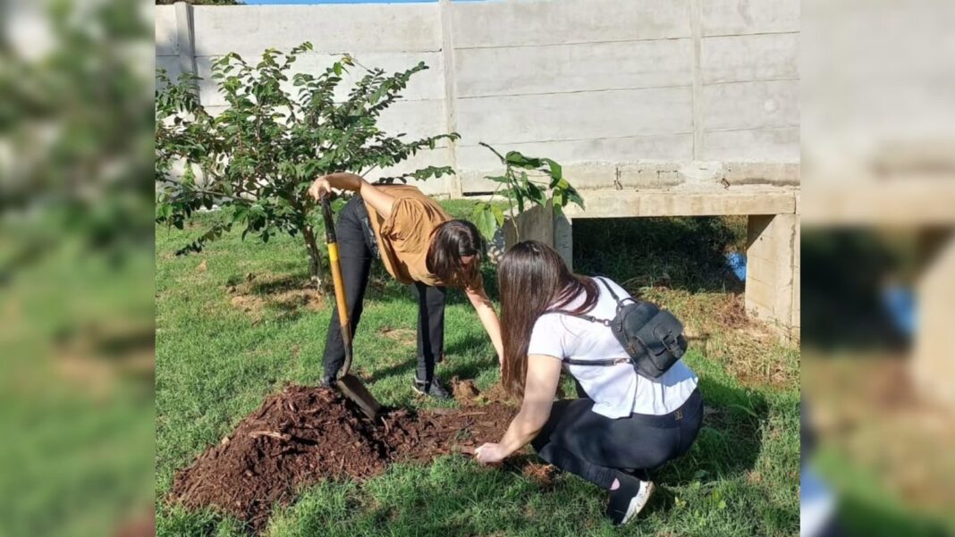 Plantación de árboles nativos en el arroyo Santa María de Posadas