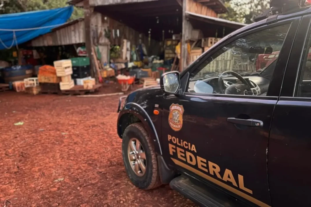 Operativo de rescate de trabajadores en situación de esclavitud en Brasil