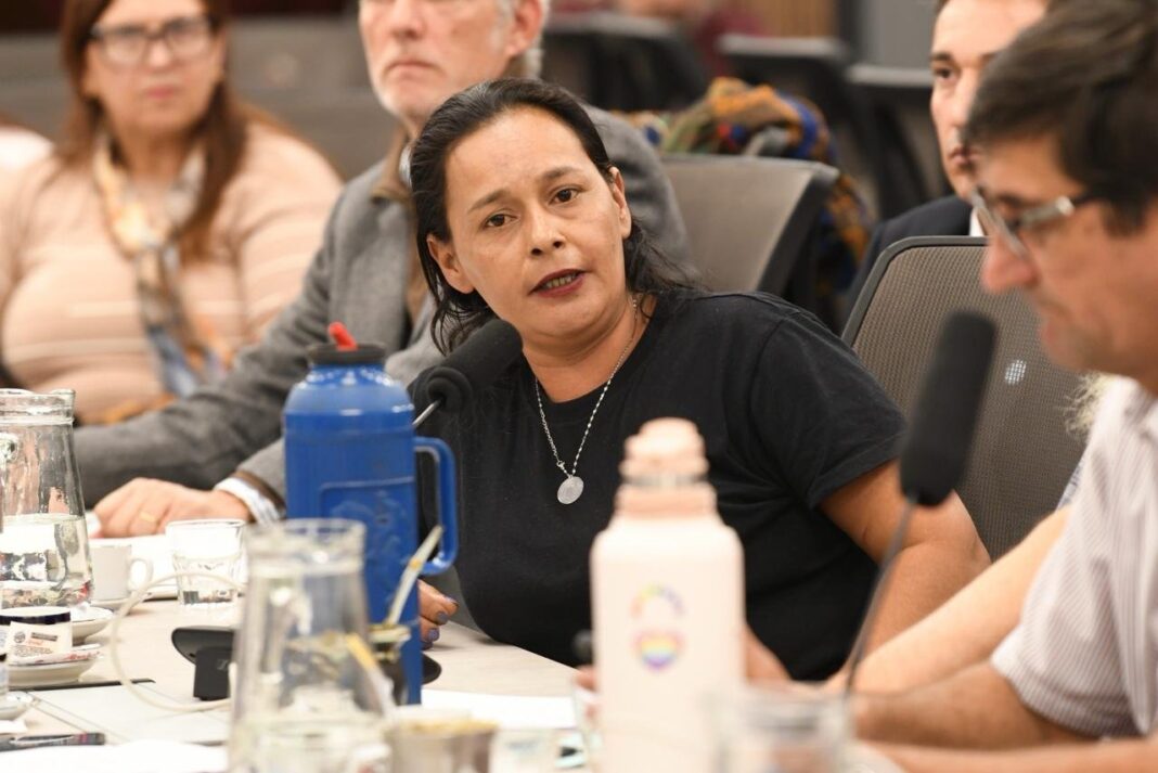 Susana Cuadra exponiendo en la Cámara de Diputados de la Nación